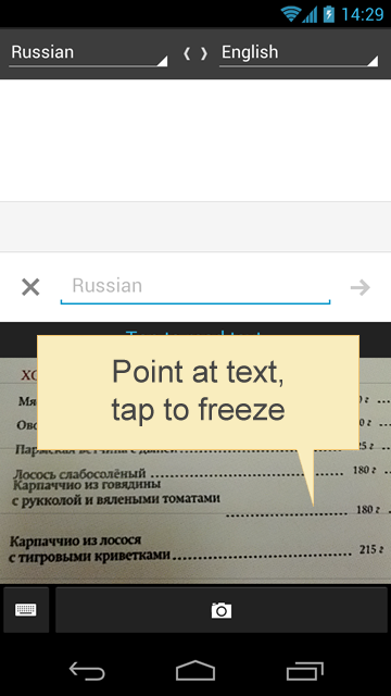Google Translate Picture