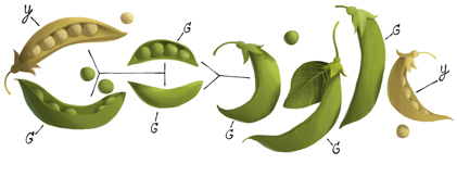 Google Pea Logo - Gregor Mendel