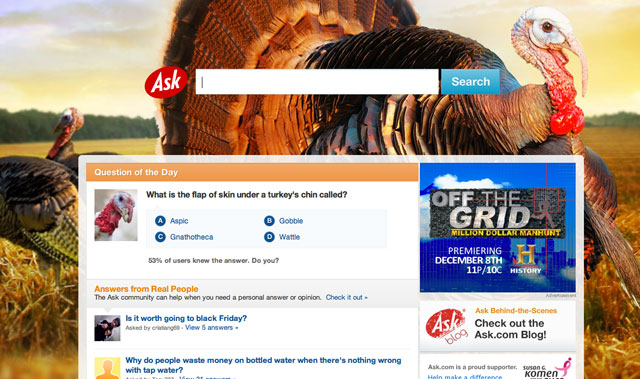 Ask.com Thanksgiving 2011