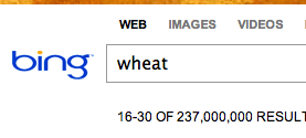 Bing Random