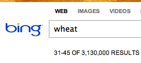 Bing Random 2