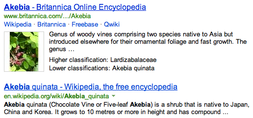 Encyclopedia Britannica In Bing