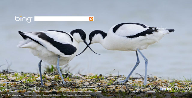 Bing Fencing