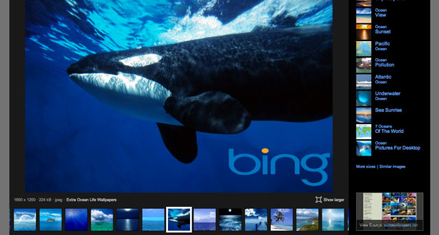 Bing Image Search Update