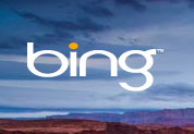 Bing Logo