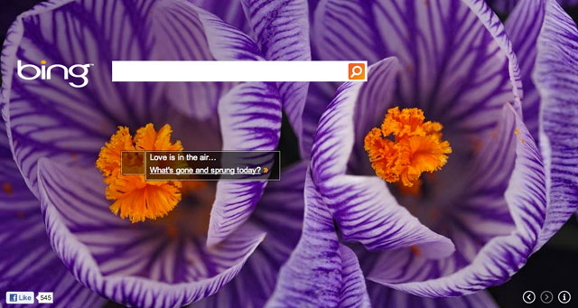 Bing Spring Theme
