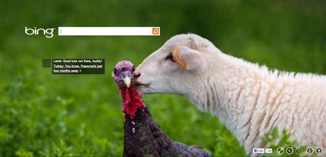 Bing Thanksgiving Day 2012