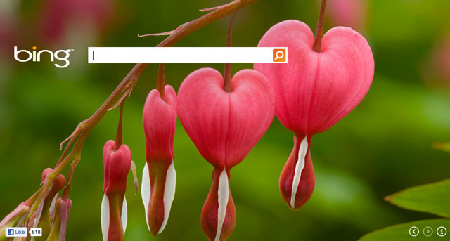 Bing Valentines Logo