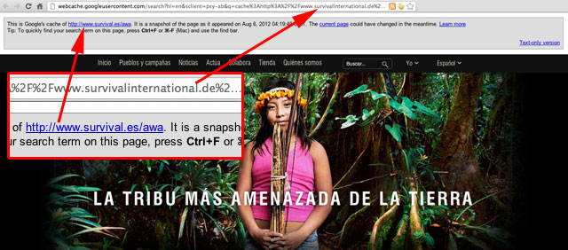 Canonicals Issues In Google
