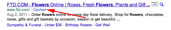 Google Cache Link