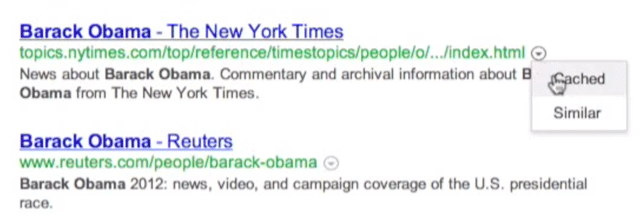 Google Testing Cache/Similar Drop Down Links