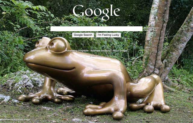 Custom Google Background