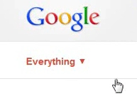 Google Everything