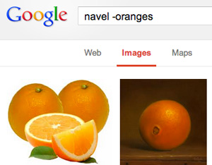 Google Image Exclusions