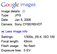 Google Image Data