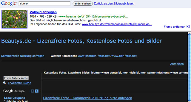 Google Image Result Test in Germany
