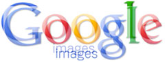 Google Image Search Update