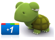 Google Plus Slow