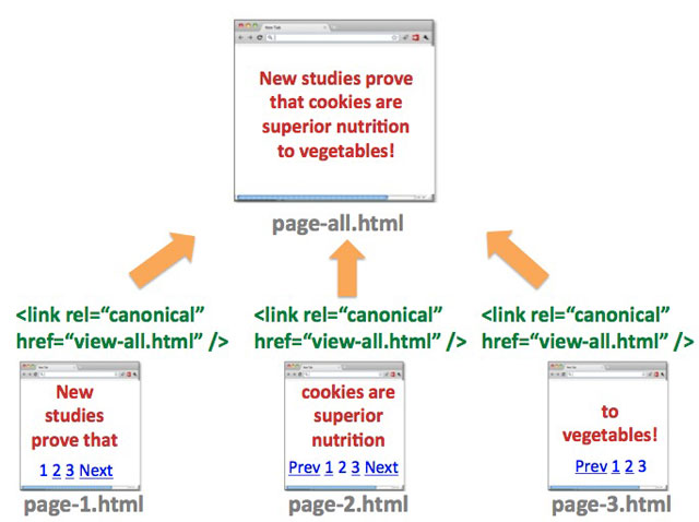 View All Canonical Option