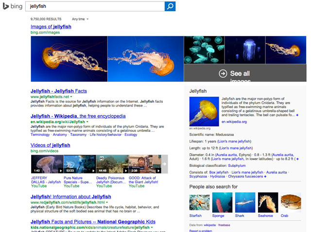 Google Indexing Bing's Jellyfish