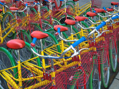 A Sea Of Google Bikes