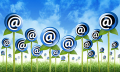 SEO Email Spam
