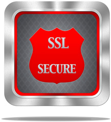 SSL Frame