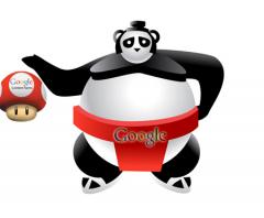 Google Panda Update