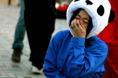 Google Panda Laughing