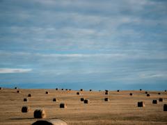 Google Farmer Update Roll Out