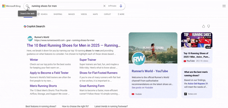 Bing More Sources Section