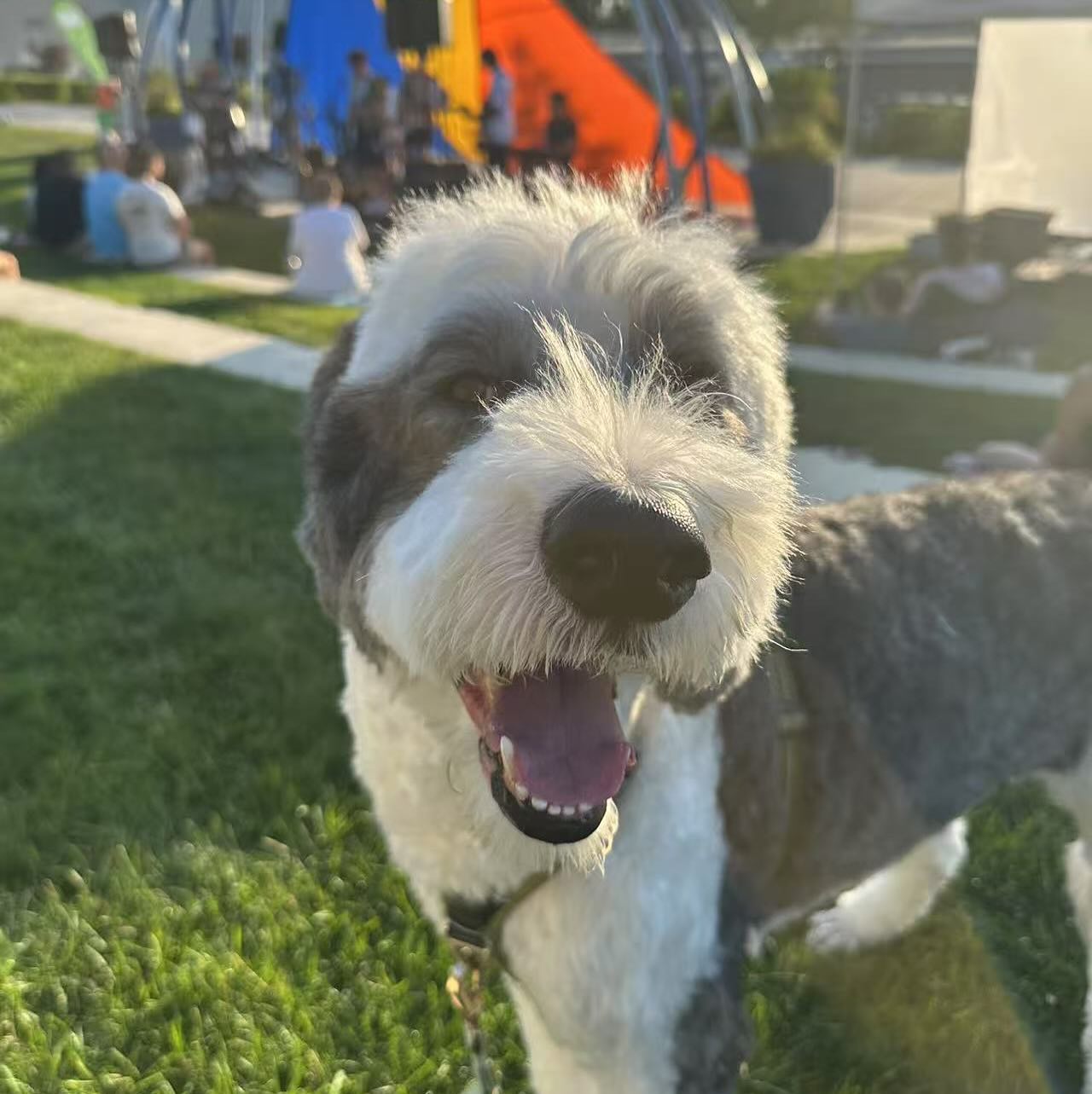 Doogler At Google Concert