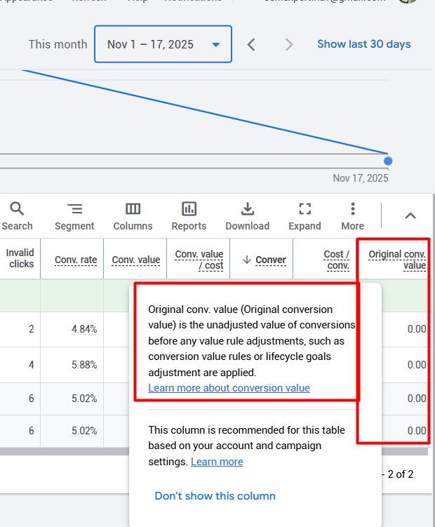 Google Ads Original Conversion Value