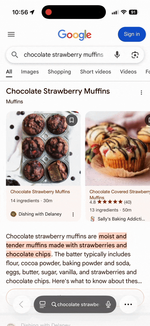 Google Ai Overview Recipe
