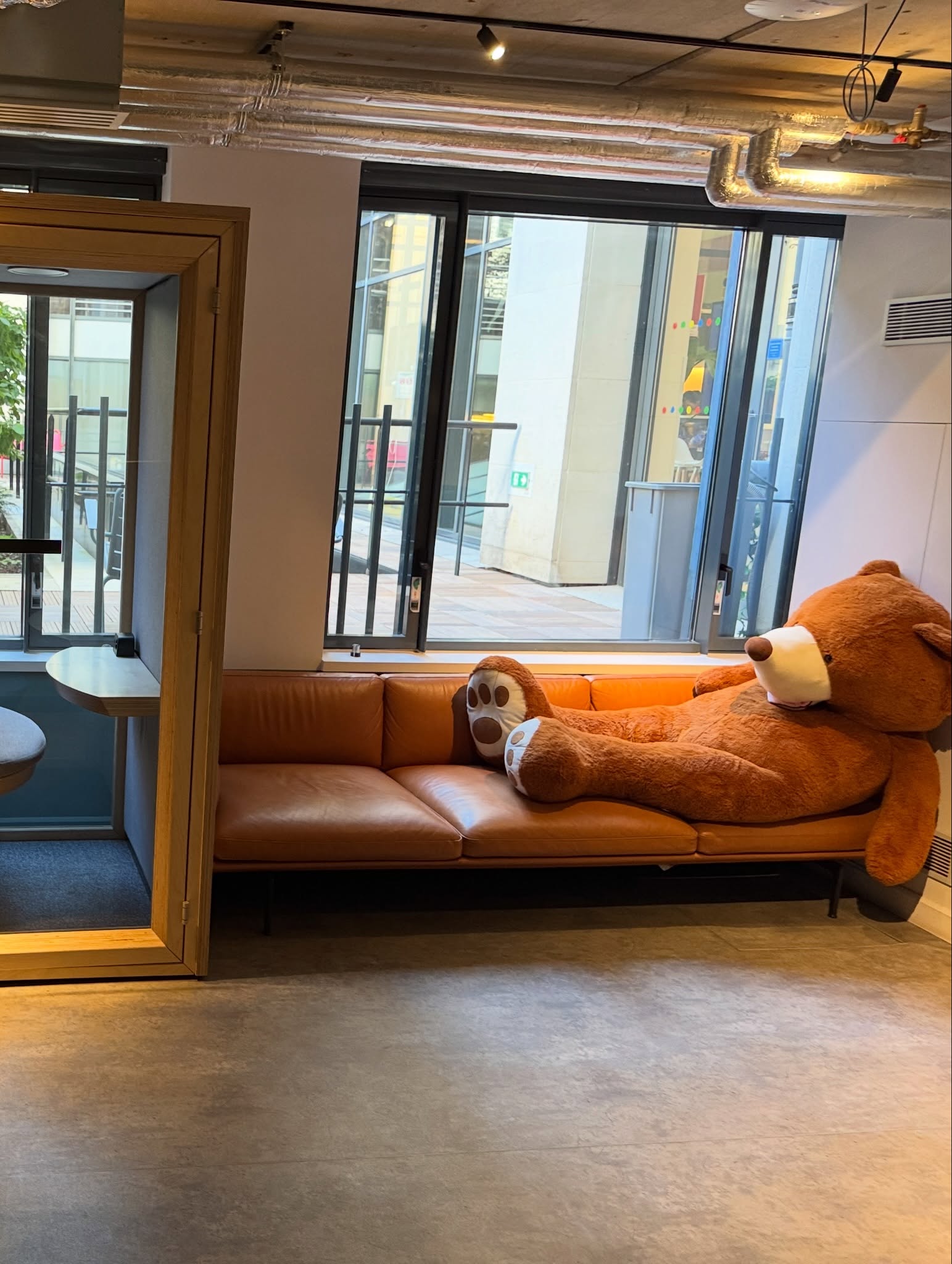 Google Bear On Sofa France