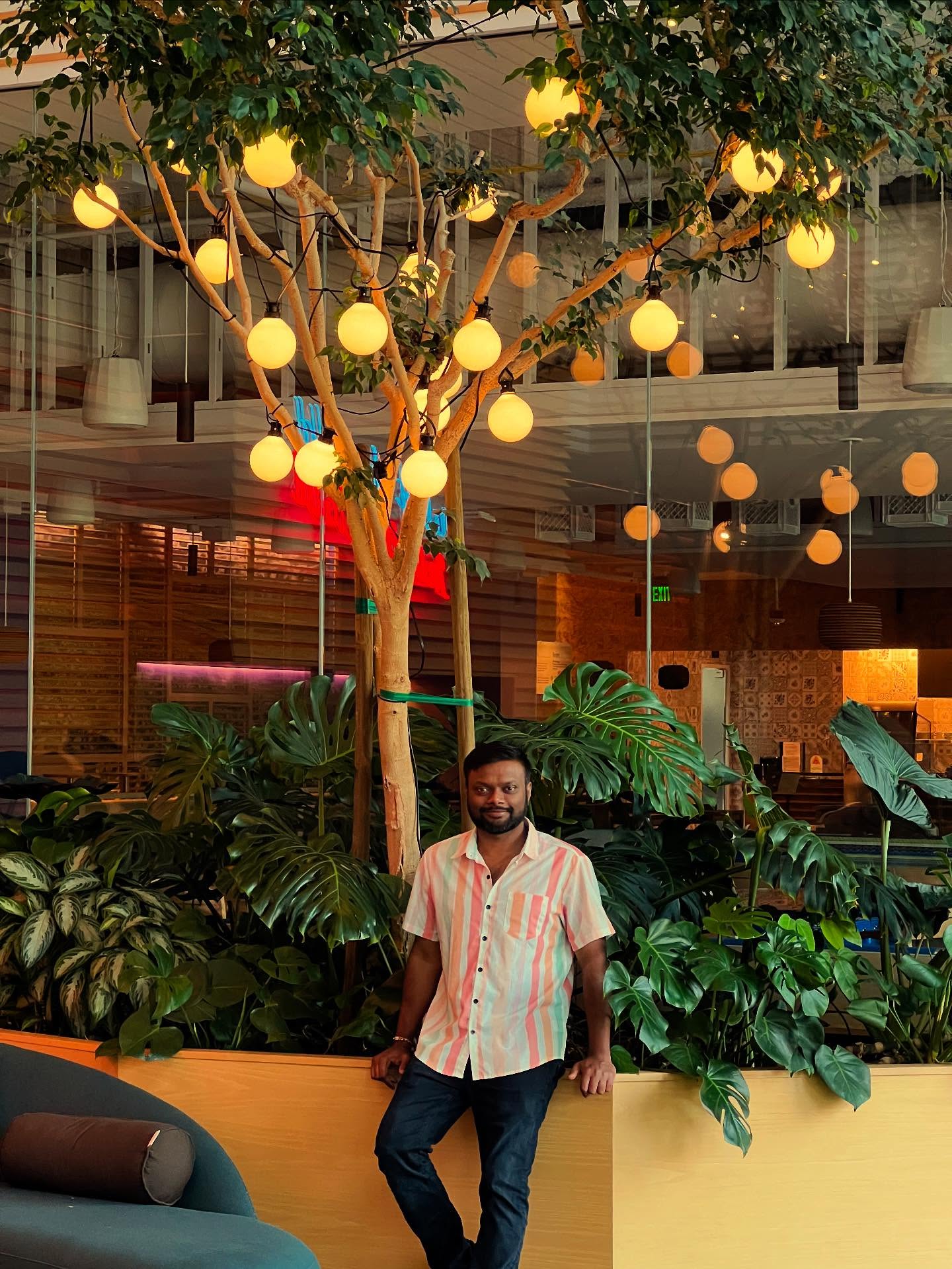 Google Light Bulb Tree