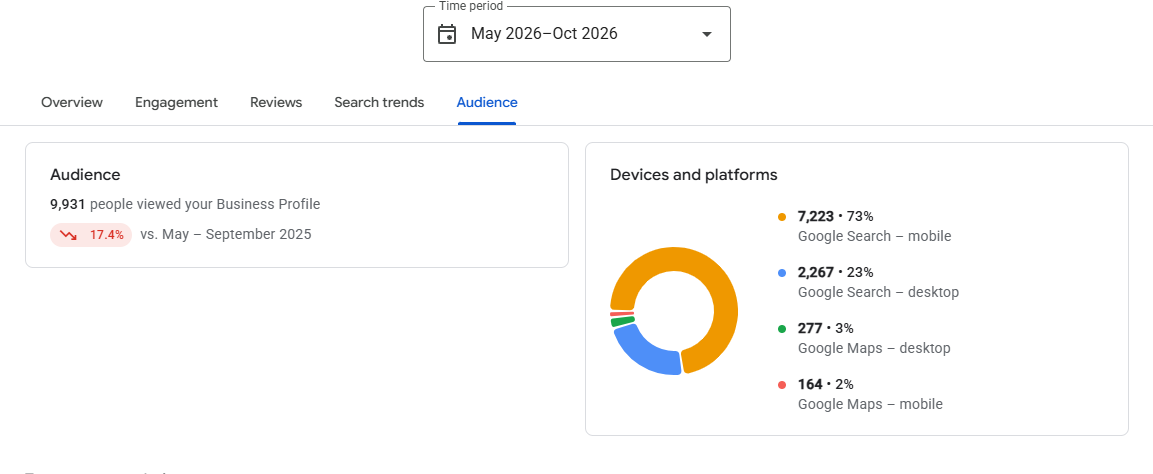 Google Business Profiles Performance Report New Audience