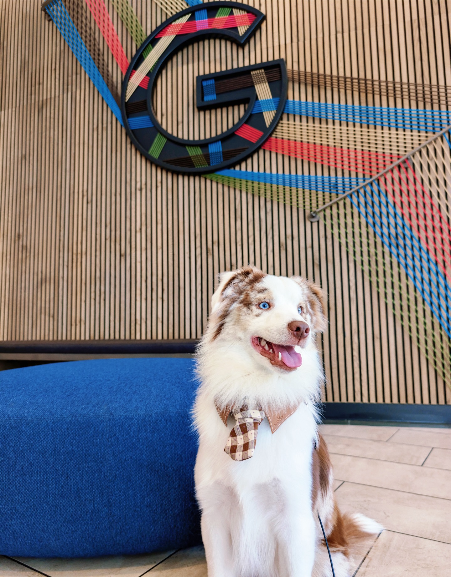 Google Dog (Doogler) In Tie