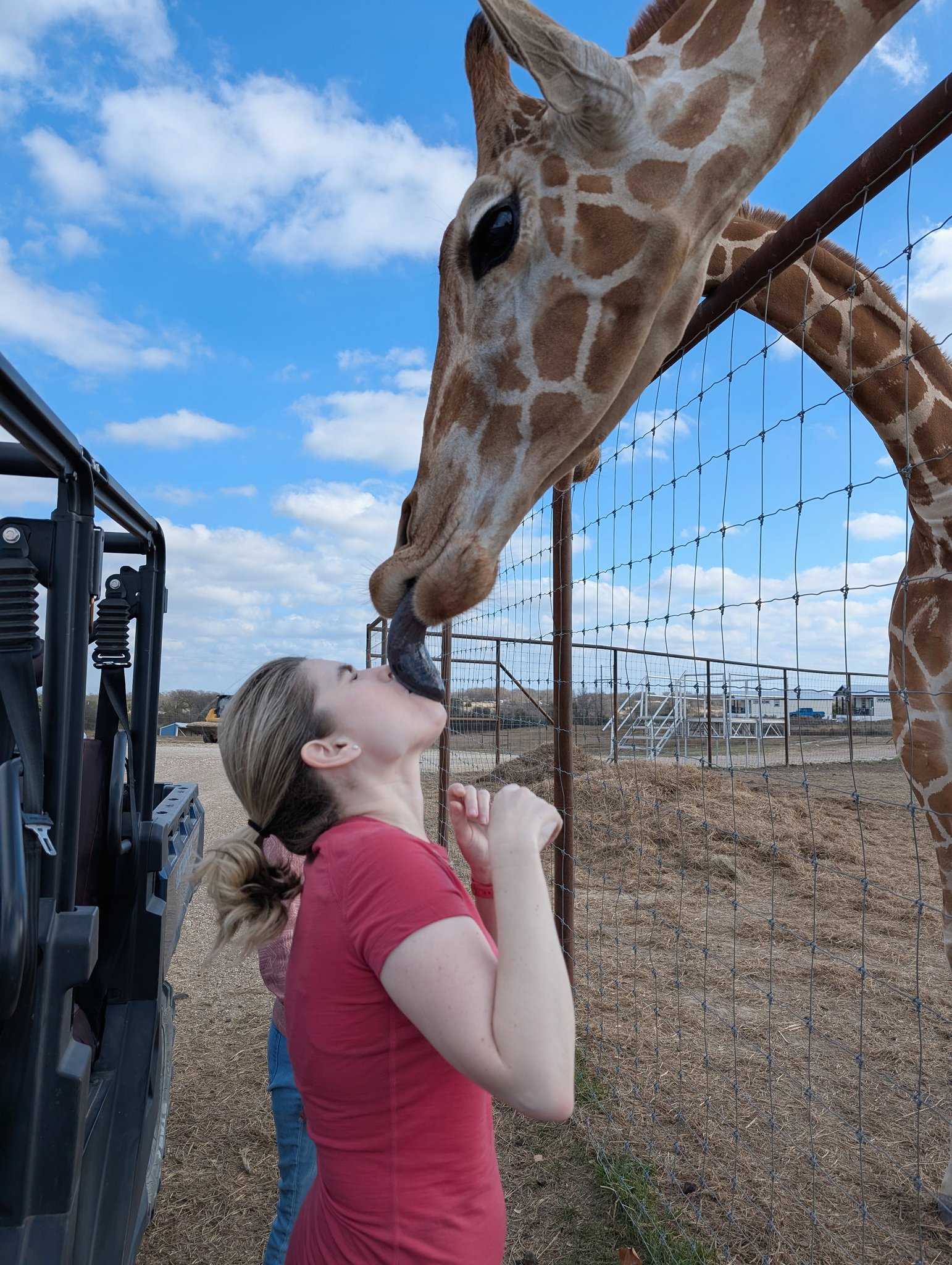 Google Giraffe Kissing Googler