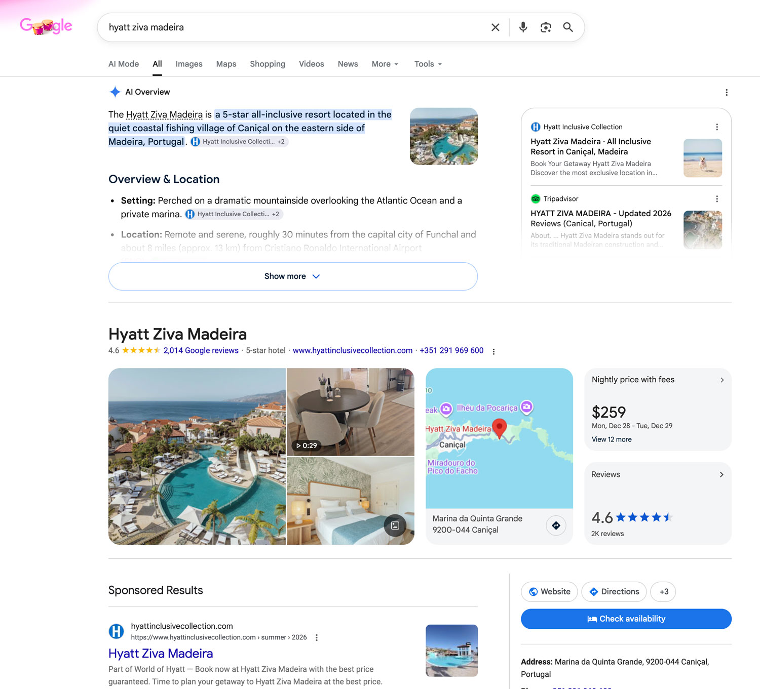Google Hotel Ai Overview