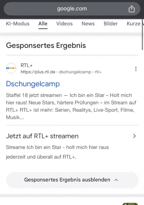 Google Image Animation For Search Ads