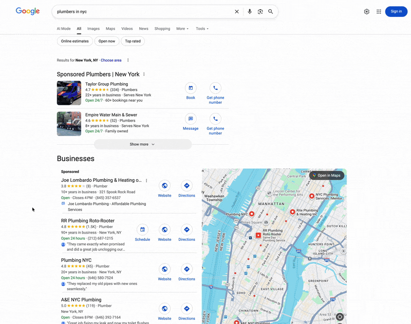 Google Local Results Places Bug