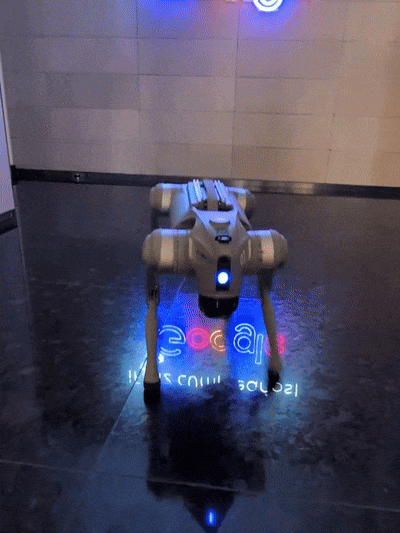 Google Robot Dog Jumping
