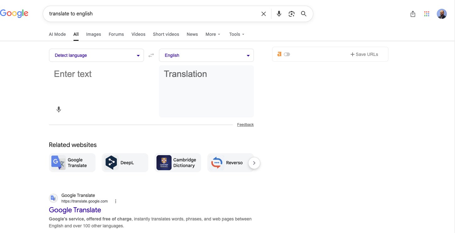 Google Search Translate Related Websites